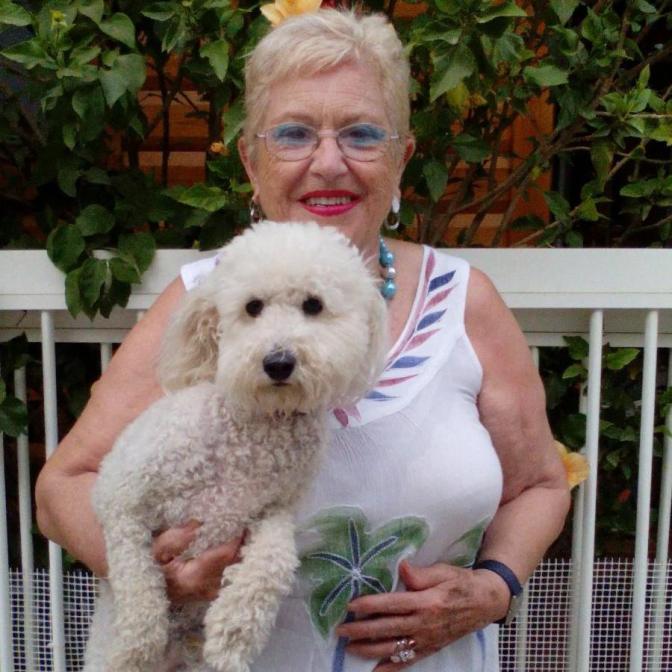 11896035_1482297712085591_6297907817172924071_n