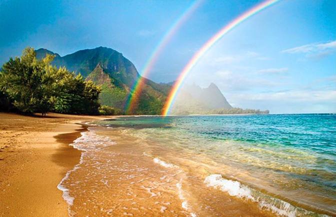 12523840_1578428585805836_6710263361679812518_n