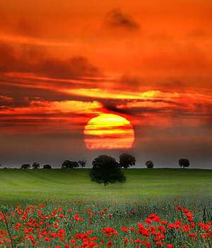 13119099_1599837950331566_464048309975471778_n