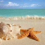 ROSA MARI FELIZ CUMPLEAÑOS