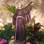 DE TI QUIERO ESCRIBIR