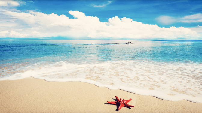 Captura de pantalla 2016-08-13 a las 12.39.33