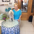 EL SENDERO AMARILLO….