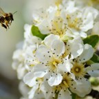 LETIZIA REINA DE ESPAÑA