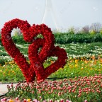 CARACTERÍSTICAS QUE ME DEFINEN