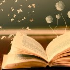 JOSE ANGEL ORDIZ LLANEZA