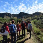 ENTRE LA ARENA DEL MAR