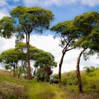 CUANDO REMONTAS LA VIDA