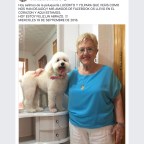 HOY SALIMOS DE LA PELUQUERÍA