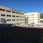 MIS QUERIDOS AMIGOS EMBAJADORES DE MIS REDES SOCIALES