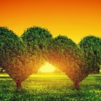 YO SOY ESA GUERRERA QUE CON SU BANDERA BLANCA.