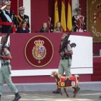 HOY ES LA VIRGEN DEL PILAR