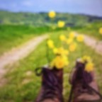 TE DA GLORIA Y MAESTRIA