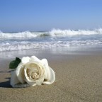 LA BELLEZA DEL ALMA ESTÁ EN LA NATURA