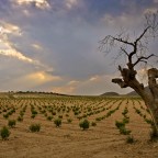 EL AMANECER DE ESAS NUBES