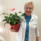 CUANTO QUE QUIERO A MIS AMIGOS