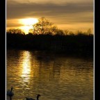 HOY SEÑOR CELEBRAMOS