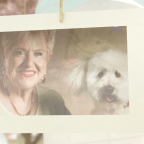 EL ÁRBOL DE LA VIDA