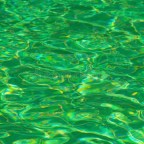 WORPRESS QUE GUAPOS SOIS