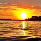 GRACIAS POR VUESTRA FUERZA