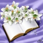 EN EL RINCON DE MI ALMA