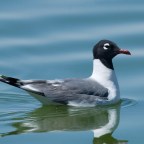 ENCONTRARME CON VOSOTROS EN WORDPRESS