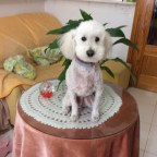 LO MAS BONITO DE MI VIDA