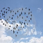 ENCONTRAR ACLARACIONES