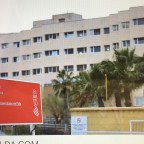 LAURA MUÑOZ AMARILLO