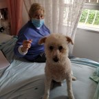 PENSANDO EN UN VIRUS QUE SE VA,MAYO