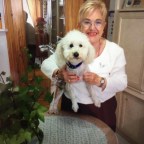 QUIERO ELEVAR A MI LUCERITO !