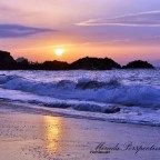 LAURA MUÑOZ AMARILLO -MIS SENTIMIENTOS.