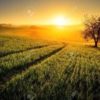 MIS AMIGOS DE WORDEPRESS,SABADO 20 DE JUNIO DE 2020.