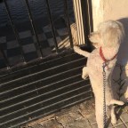 PIENSO COMO ES LA VIDA