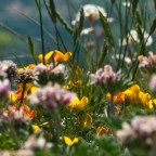 ME ENCANTA LA BELLEZA