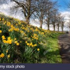 A LA VERA DEL CAMINO