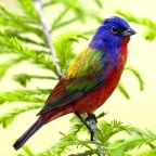 PSICOLOGÍA EXPRESION  DE LA VERDAD.