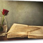 GRACIAS A MI AMIGA SILVIA SALAFRANCA SILVERIO,ESCRITORA.