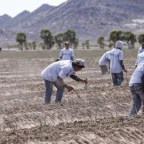 REFLEXIONES DE LAURA MUÑOZ AMARILLO Y ANGEL BRAVO-PAREDES