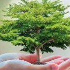 LAURA MUÑOZ AMARILLO POLITICA 15-9-2018,ESTANCADO TODO