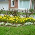 QUIERO LEVANTAR MI CORAZON !                       METÁFORA