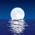 LAURA MUÑOZ AMARILLO