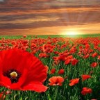 LAURA MUÑOZ AMARILLO.SIGUIENDO CON EL CAPITULO 3 Y4, SOBRE LA AMISTAD ,SINCERIDAD Y ALEGRIA !!