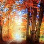 ¡ QUE BELLA ES LA VIDA.LAURA.