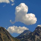 QUERER AMAR…SER,SENTIR Y GOZAR !