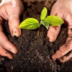 DANIELLA BOSSIO A LAURA MUÑOZ AMARILLO,RECORDAR EMBELLECE EL ALMA ,24 DE NOVIEMBRE DE 2016 AL 24-11-2020.