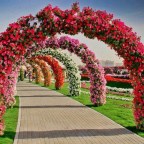 ¡ DALE VERDAD A LA VIDA !