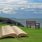 LIMPIEMOS EL CAMINO,MIS AMIGOS DE WORDEPRESS.