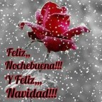 QUIERO ENVIAROS UNA ROSA,QUE NACE DE MI CORAZON !