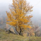 HOLA MIS AMIGOS DE WORDEPRESSS,GRACIAS POR QUEREROS TODO EL AÑO 2020,MIS ABRAZOS Y FELIZ 2021.